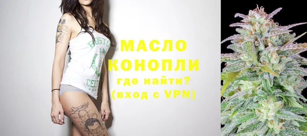 трава Гусиноозёрск