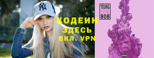 ПСИЛОЦИБИНОВЫЕ ГРИБЫ Гусь-Хрустальный