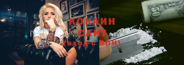 трава Гусиноозёрск