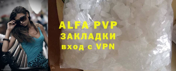 ПСИЛОЦИБИНОВЫЕ ГРИБЫ Гусь-Хрустальный