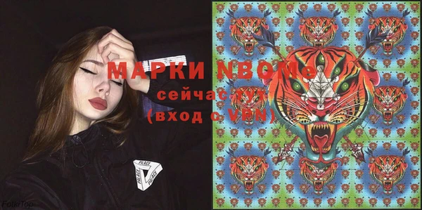 трава Гусиноозёрск