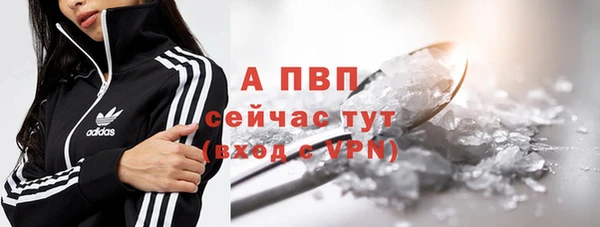 трава Гусиноозёрск
