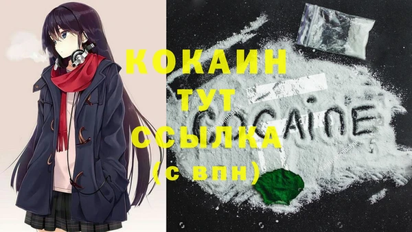 ПСИЛОЦИБИНОВЫЕ ГРИБЫ Гусь-Хрустальный