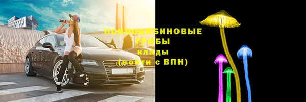ПСИЛОЦИБИНОВЫЕ ГРИБЫ Гусь-Хрустальный