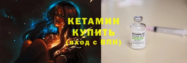 трава Гусиноозёрск