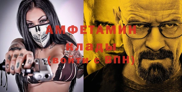 трава Гусиноозёрск