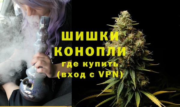 трава Гусиноозёрск