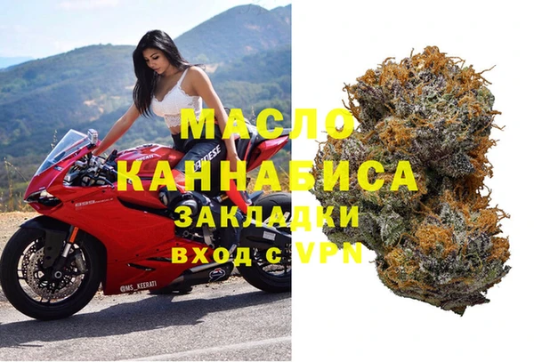 трава Гусиноозёрск