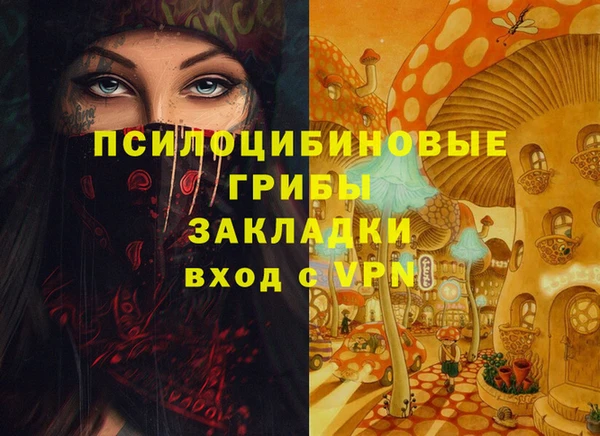 ПСИЛОЦИБИНОВЫЕ ГРИБЫ Гусь-Хрустальный