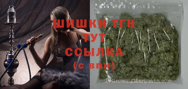 трава Гусиноозёрск