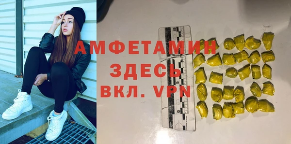 ПСИЛОЦИБИНОВЫЕ ГРИБЫ Гусь-Хрустальный