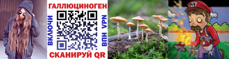 Галлюциногенные грибы MAGIC MUSHROOMS  Купить где  Стрежевой 